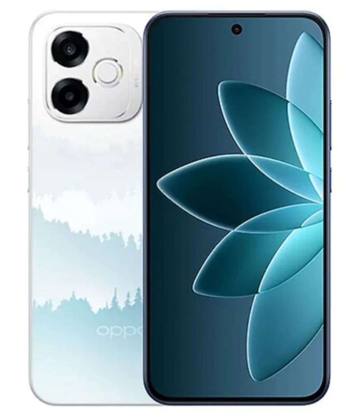 Oppo A6s Pro